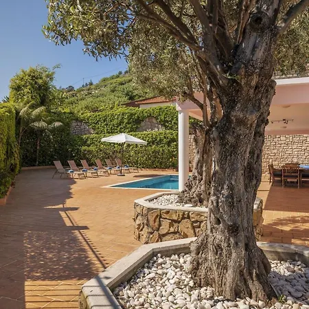 Great Family Villa In Funchal Holiday home *